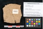 Foto (Objekt + Etikett) von Callitris brongniartii Endl. (NHMW-GEO-2024-0188-8217)